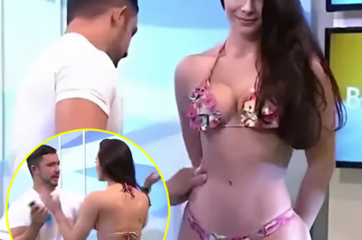 SHOCK BIKINI BASH Swimwear model lashes out at presenter on live TV when he tries to apply suncream to her B0TT0M