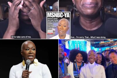 5 MIN AGO: Joy Reid Breaks Silence After MSNBC Firing—Reveals the Shocking Reason, Leaving No Doubts