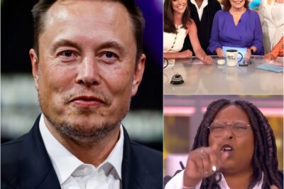 Elon Musk called for a boycott of The View, calling it “a meeting place for ignorant women.” Immediately after, the entire cast responded fiercely