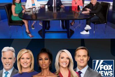 Fox News has once again dominated the ratings, leaving competitors M/S/N/B/C and C/N/N in their wake. In reality, 2022 was the third-highest-rated year in cable news history