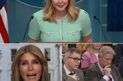 BREAKING NEWS: MSNBC’s Nicolle Wallace Hits Back at Karoline Leavitt with Scathing Four-Word Rebuke Over Tariff Claims