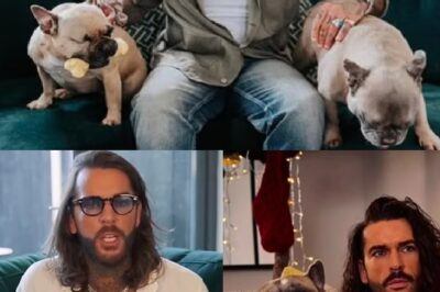 Pete Wicks was criticized when he revealed ‘PREFERS DOGS TO PEOPLE’: “It’s ridiculous”