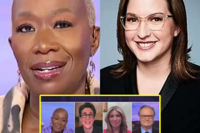 SHOCKING REVEAL: The Real Reason MSNBC’s New Boss Lost His Temper and Fired Joy Reid—Confirming What We Suspected All Along!