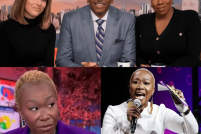 MSNBC executives are under fire for allegedly receiving bribes in exchange for firing Joy Reid. The situation has caused a lot of anger and frustration among viewers.